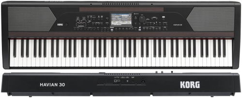 KORG HAVIAN 30 цифровое фортепиано с аккомпанементом, стойка ST-H30-BK (A059144) поставляется отдельно фото 3