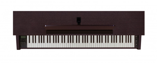 Becker BAP-62R цифровое пианино, цвет палисандр, механика New RHA-3, пластиковые клавиши фото 5