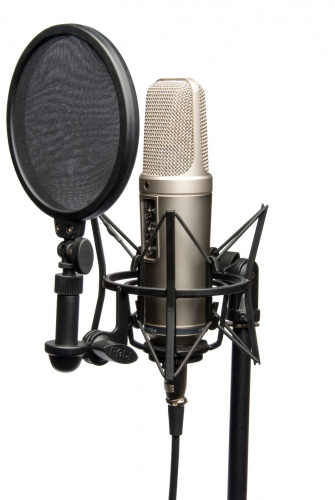 RODE NT2-A Профессиональный конденсаторный микрофон с большой 1" диафрагмой с трехпозиционным переключателем направленности