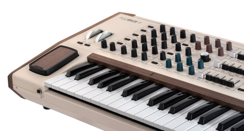 Arturia PolyBrute 12 Синтезатор, 12 голосная полифония, 61 клавиша, полифоническая клавиатура  фото 2