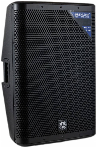 ENLEMA APS 15 DSP Акустическая система