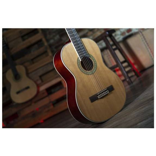 PEAVEY CNS-2 гитара классическая фото 3
