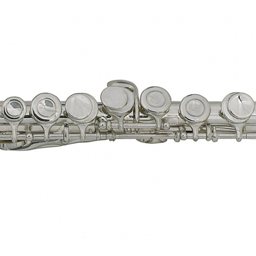 ROY BENSON FL-102 флейта (детская , Упрощенная механика) (RB700390) фото 2