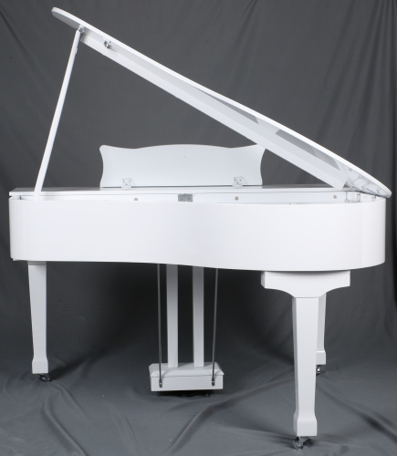 Ringway GDP6320 Polish White Цифровой рояль, 88 взвешенных клавиш, 3 педали полифония: 64 голоса фото 2
