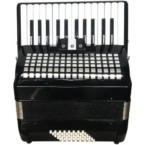 GOLDEN CUP JP2648 аккордеон, 26 клавиш, 2 голоса, 3 регистра, 48 басов, 4 голоса, цвет черный фото 4