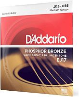 D'Addario EJ17 струны для ак. гитары фосфор/бронза, Medium 13-56