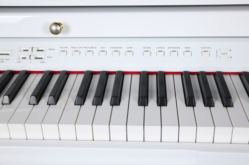 Ringway GDP6320 Polish White Цифровой рояль, 88 взвешенных клавиш, 3 педали полифония: 64 голоса фото 4