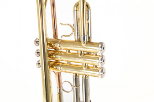 ROY BENSON TR-202 Bb труба (цвет золото) фото 12