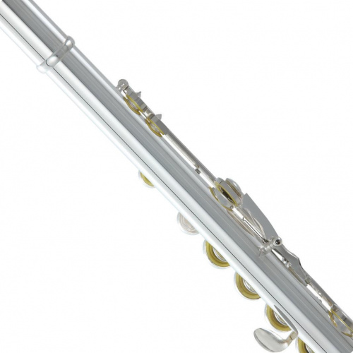 ROY BENSON FL-402R флейта (открытые клапана в линию) (RB700407) фото 5