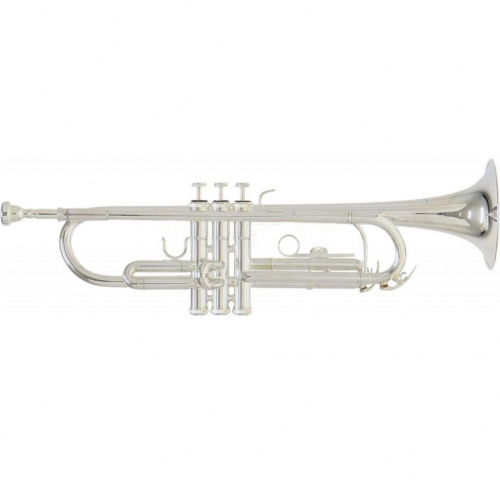 ROY BENSON TR-202S Bb труба (цвет серебро) (RB701072)