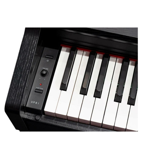 Medeli UP81 BK Электропиано, 88 клавиш, клавиатура GAK, 64 полифония, 20 тембров фото 2