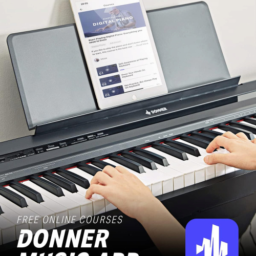 Donner DEP-10 + STAND портативное цифровое пианино со стойкой и педальным блоком фото 2
