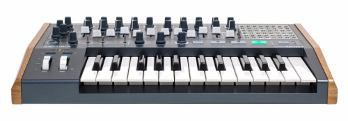 Arturia MiniBrute 2 Монофонический аналоговый синтезатор, 25 клавиш с Velocity&Aftertouch, 2 VCO, FM фото 2