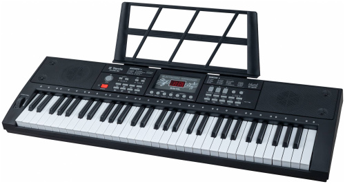 TERRIS TK-250 BK синтезатор, 61 мини клавиша, микрофон, цвет черный фото 3