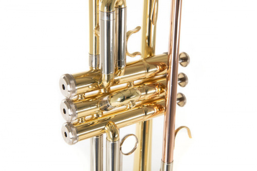 ROY BENSON TR-202 Bb труба (цвет золото) фото 11