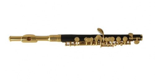 Wisemann DPL-300 флейта-пикколо C стандартная, корпус ABS, позолоченная