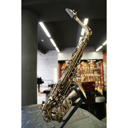 Stephan Weis AS-200J Альт-саксофон, корпус-латунь, состаренное золото, кожзам жесткий кейс