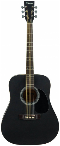 VESTON D-45 SP/BKS dPACK 1 Гитара акустическая (набор) в наборе фото 3