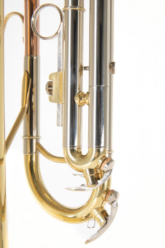 ROY BENSON TR-202 Bb труба (цвет золото) фото 6