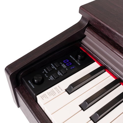 ROCKDALE Etude 128 Graded Rosewood цифровое пианино, 88 клавиш, цвет палисандр фото 8