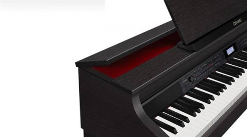 CASIO Celviano AP-650BK, цифровое фортепиано фото 3