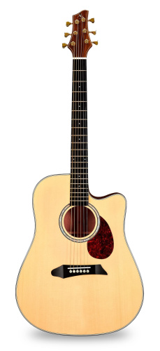 NG DM411SC NA акустическая гитара, цвет натуральный