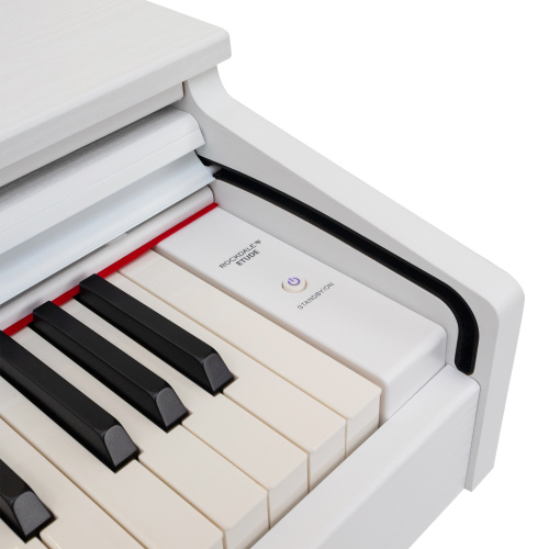 ROCKDALE Etude 128 Graded White цифровое пианино, 88 клавиш, цвет белый фото 9