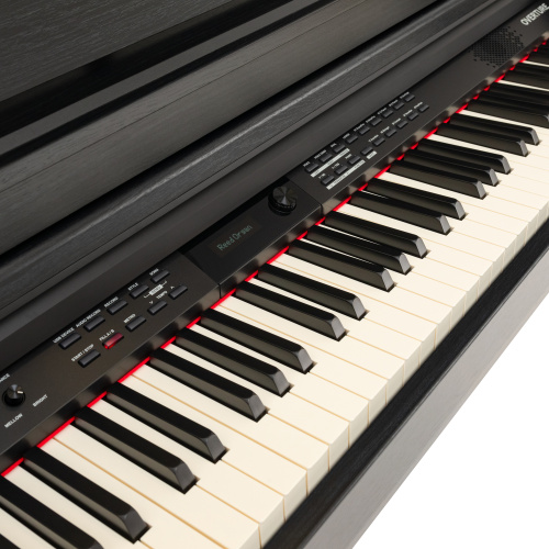 ROCKDALE Overture Black цифровое пианино с автоаккомпанеметом, 88 клавиш, цвет черный фото 7