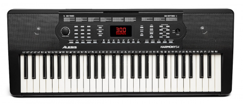 ALESIS HARMONY 54 Синтезатор со встроенными динамиками и клавиатурой с 54 клавишами фото 2