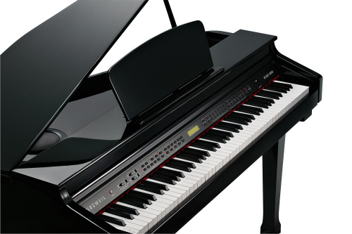 KURZWEIL KAG100 EP цифровой рояль, 88 молоточковых клавиш, цвет черный фото 4