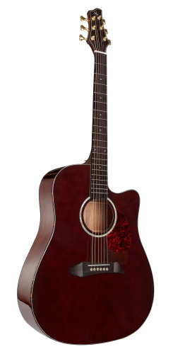 NG DM411SC BR акустическая гитара, цвет вишневый, чехол в комплекте фото 2