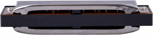 SWAN SW1020-9 диатоническая губная гармошка, До мажор, крышки сталь, язычки аллюминий фото 2
